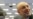 Iran Atomic Chief 'Optimistic' On Talks