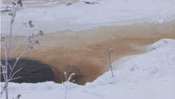 Отходы из реки Кемь попадают в Белое море