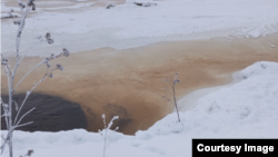 Отходы из реки Кемь попадают в Белое море