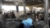 Syria Buries Bombing Victims