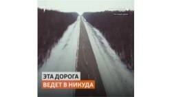 Жители хабаровского поселка вырубили всю тайгу и остались без работы