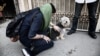 Iran Lawmakers Propose Lashes For Leashes
