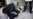Iran Lawmakers Propose Lashes For Leashes