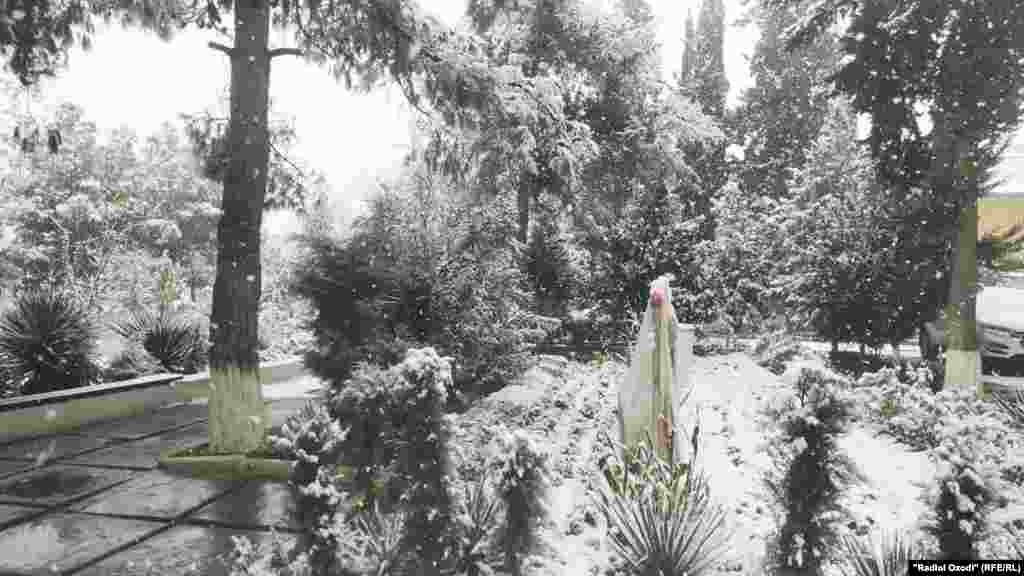 Барфи аввал дар шаҳри Бохтар, 8 декабри соли 2020