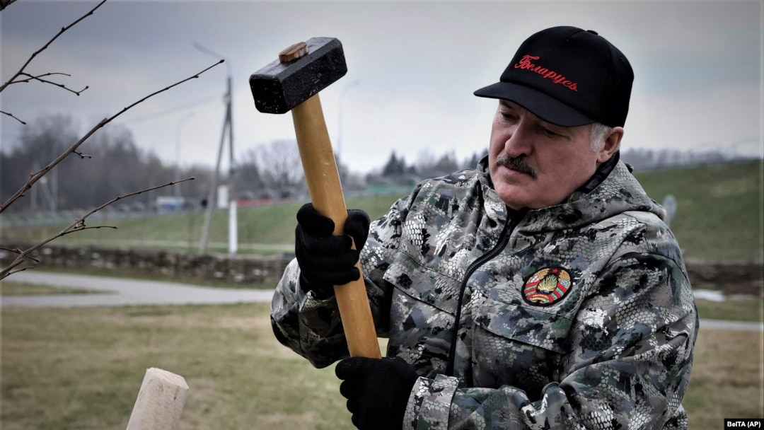 Alexandr Luakșenko plantând copaci - 17 aprilie 2021