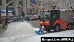  Foto: Tamara Grejdeanu.