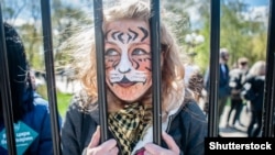 Акция протеста против эксплуатации диких животных в цирке в Киеве. Архивное фото.