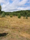 Украиналық командир басын қатерге тігіп, майданда қалған екі сарбазды құтқарды