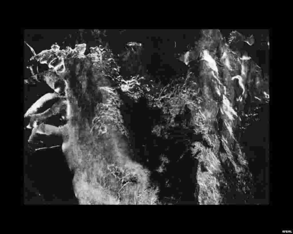 Kënga e fundit e akullnajës #15
