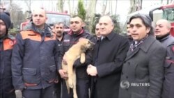 Сагро баъди даҳ рӯз аз умқи 150 метр берун кашиданд