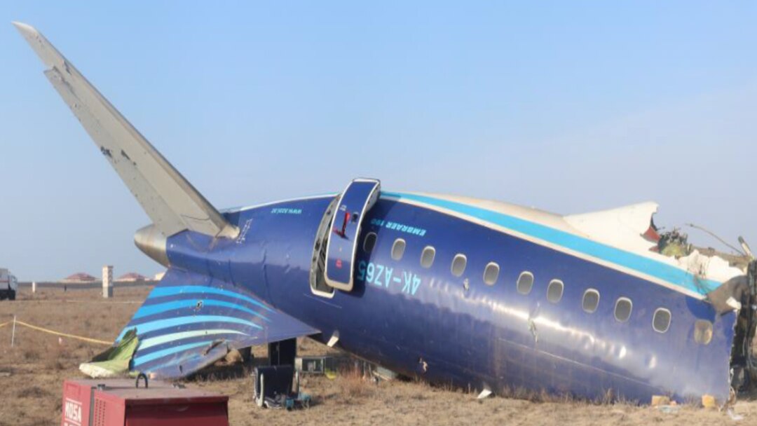 Үлкен мүшесі және семіз есек Көкіректі қаралар