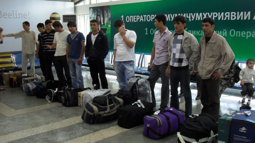 Майлы және шашты әйелдердің фотосуреттері