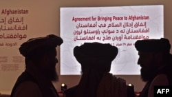 Anëtarët e ekipit negociator të talibanëve mblidhen në Doha të Katarit. 