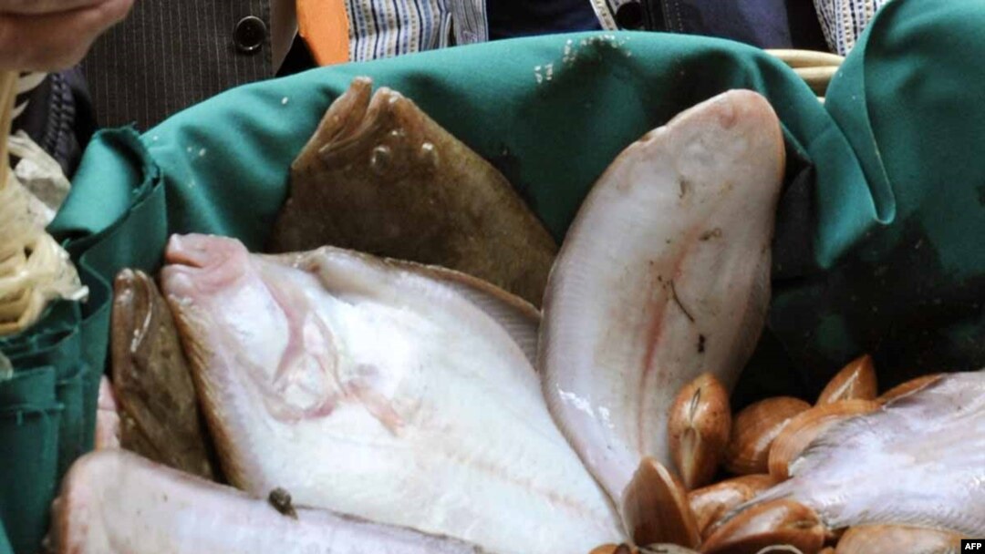 Морепродукты - основа рациона итальянцев
