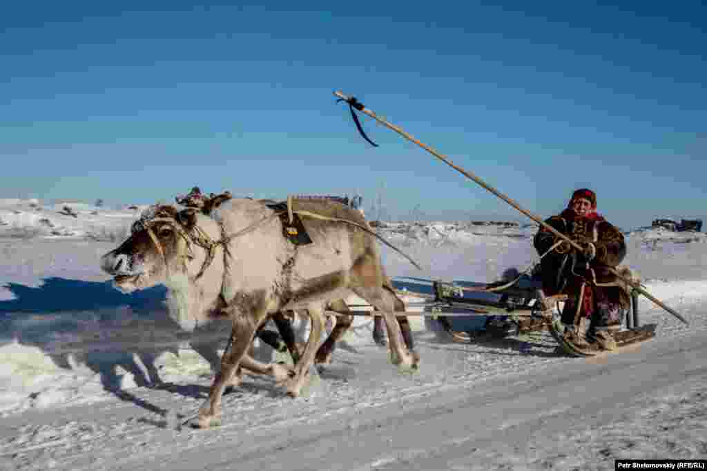 A Tundra native travels to Vorkuta&#39;s main square to give paid sledge rides to local children.&nbsp;