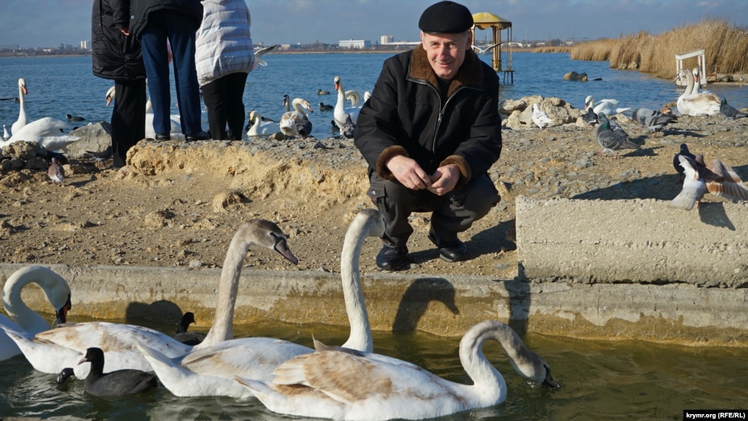 Шешендер жыныстық қатынасқа түседі