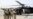 'Good Chance' Top Taliban Figure Captured
