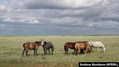 Лера Кудррявцеваның қырылған кискасы