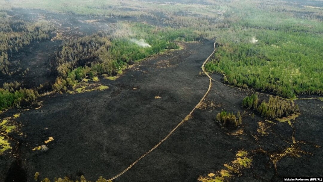 We're Suffering': The Volunteer Army Battling Siberia's