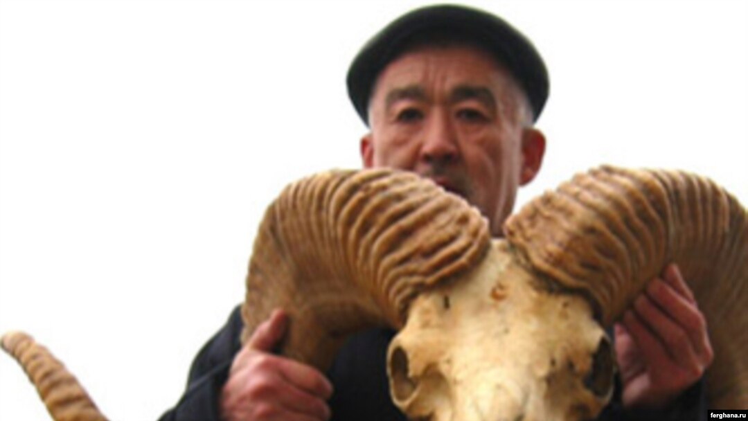 Makset Kosbergenov has led a crackdown on poaching in Uzbekistan.