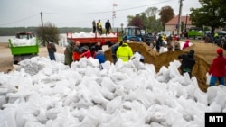 Önkéntesek homokzsákokat töltenek Gönyűn, az áradó Duna közelében 2024. szeptember 15-én