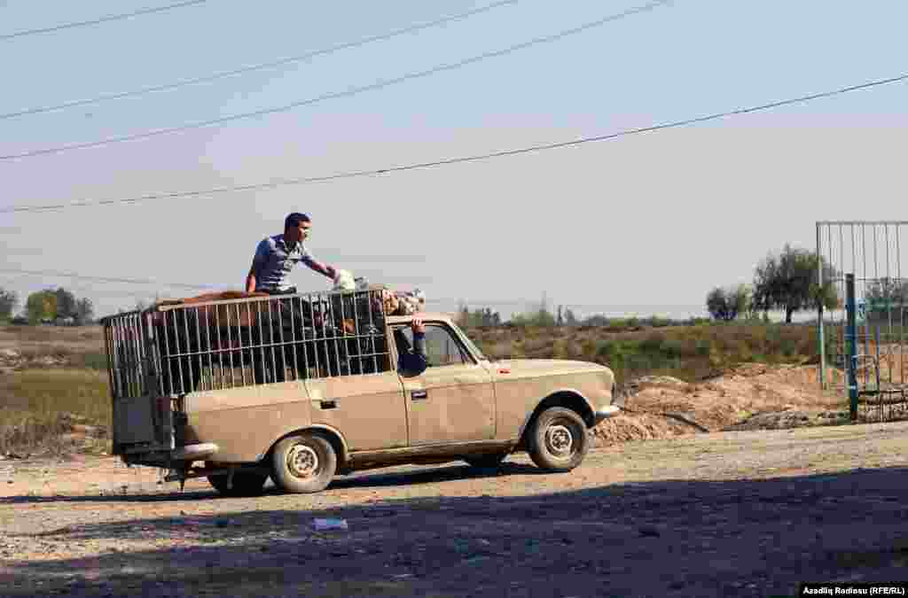 Mal Bazarı həftənin hər bazar günü səhər saat 4-5-dən başlayır və günortaya qədər davam edir. 