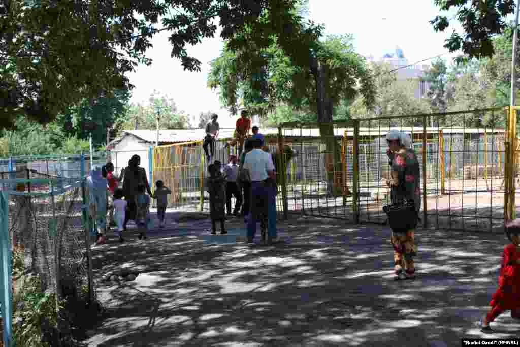 Тамошобинон дар Боғи ҳайвонот.