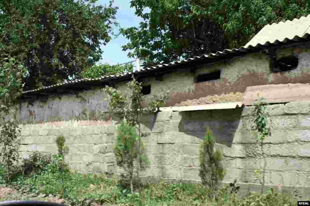 Бомпӯшиҳои рангини Душанбе #29