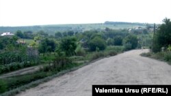 In drum spre Cimișlia