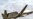 U.S. Drone 'Kills' Own Troops