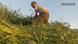 Олий суд қарорини писанд қилмаётган ҳоким ким?