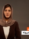 هایلایټ: لنډ او مهم خبرونه 
