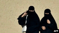 Adversarii portului vălului islamist spun că ar fi nepotrivit mai ales din punctul de vedere al siguranței publice.