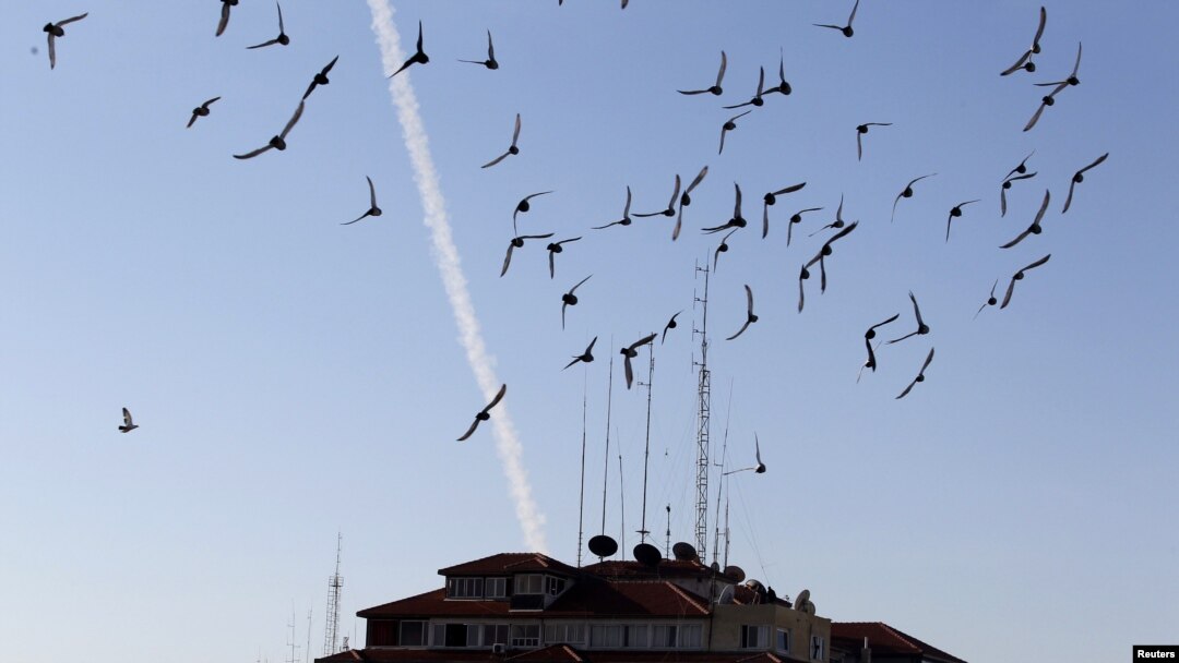 Birds fly as a trail of smoke is seen after the launch of a rocket from Gaza toward Israel on November 15.