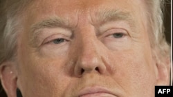 Доналд Трамп 
