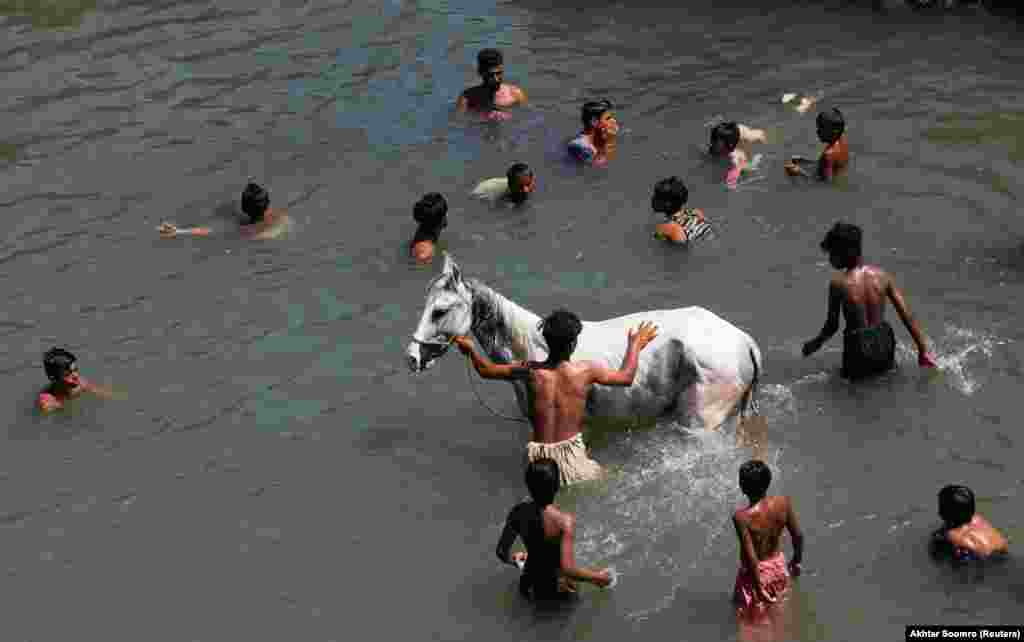 A man bathes his horse as people cool off in the Arabian Sea on the outskirts of Karachi, Pakistan. (Reuters/Akhtar Soomro)&nbsp;