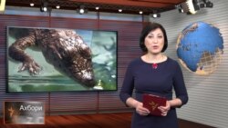 Ахбори Тоҷикистон ва ҷаҳон аз 30-уми марти соли 2015-ум