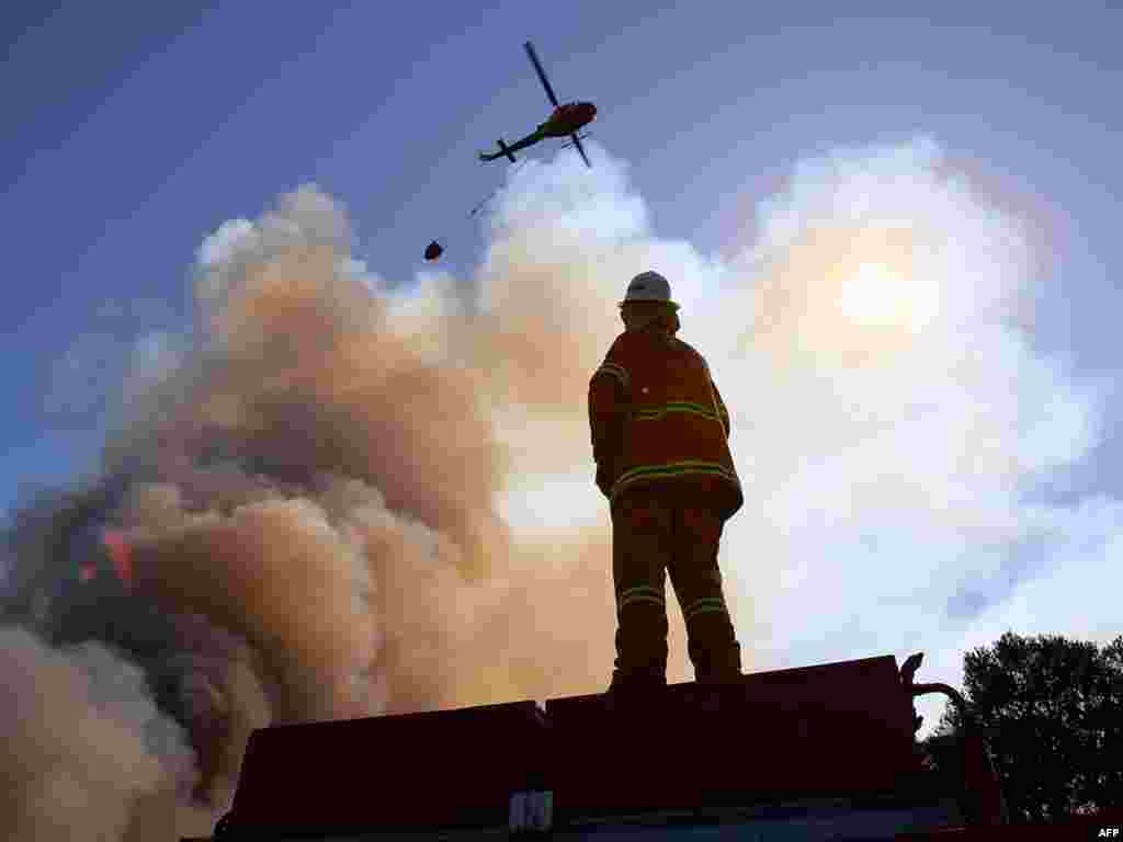 128 человек погибло во время лесных пожаров в Австралии