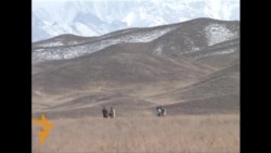 Old Tractor Much In Demand With Kyrgyz Farmers