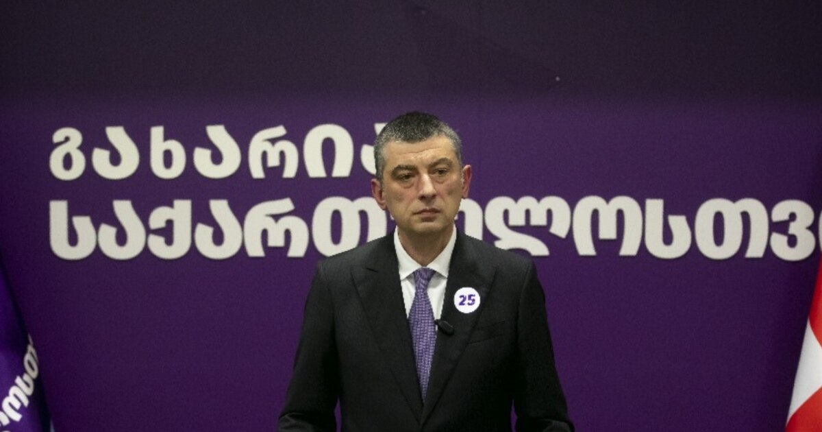 გიორგი გახარია თეა წულუკიანის კომისიაზე მიდის