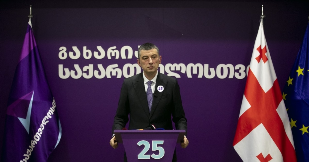 19 წლის გოგოებს პატიმრობა შეუფარდეს, როცა არცერთი ნიღბიანი მოძალადე არ დასჯილა - გახარიას პარტია