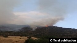 Armenia -- A wildfire in the Arevik nature reserve, August 12, 2019. (Photo by the Armenian Ministry of Emergency Situations.)