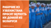 Поехавшие на заработки в Беларусь узбекистанцы просят вернуть их на родину