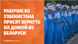 Поехавшие на заработки в Беларусь узбекистанцы просят вернуть их на родину