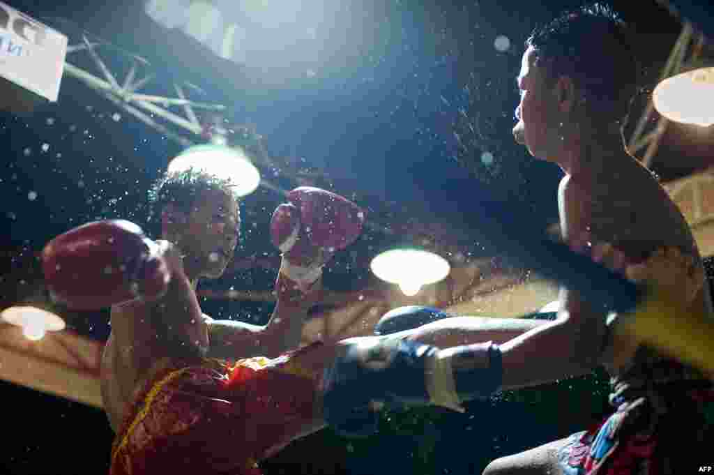 Fighting Muay Thai boxers