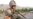 NATO In Afghanistan | 'Help Wanted'