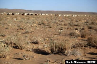 Ол онлайн порнодан ұялады