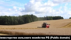 Иллюстративное фото
