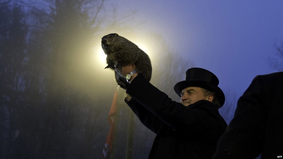 Groundhog handler John Griffiths holds Punxsutawney Phil after he saw his shadow, predicting six more weeks of winter during the 128th annual Groundhog Day festivities in Punxsutawney, Pennsylvania, on February 2.