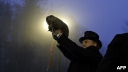 Groundhog handler John Griffiths holds Punxsutawney Phil after he saw his shadow, predicting six more weeks of winter during the 128th annual Groundhog Day festivities in Punxsutawney, Pennsylvania, on February 2.